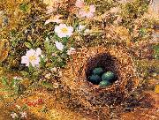 Hill, John William Bird's Nest and Dogroses oil painting reproduction
